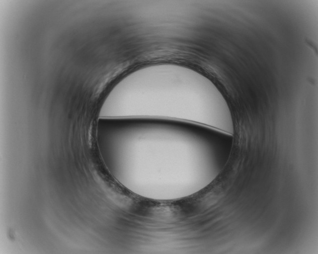 X0000099530404200805160730