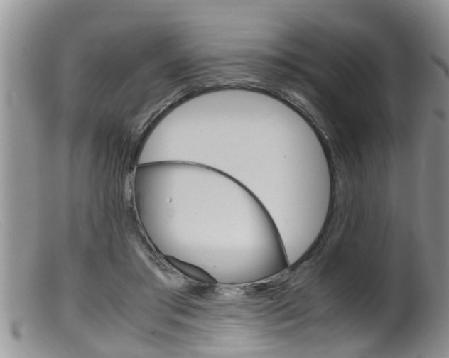 X0000099530405200805160730