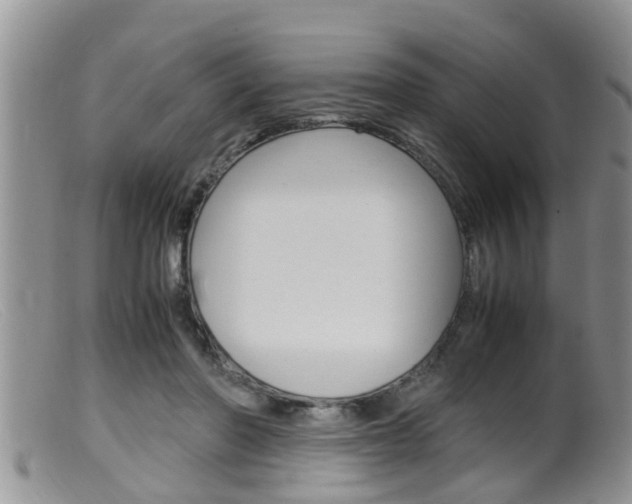 X0000099530406200805160730