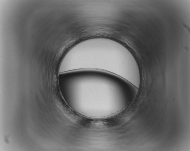 X0000099530407200805160730