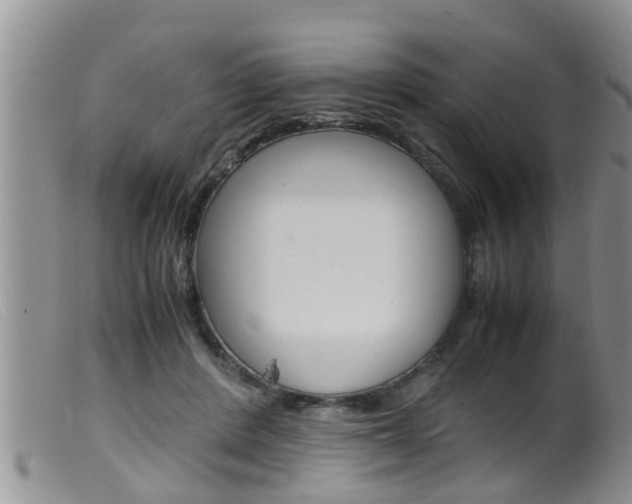 X0000099530408200805160730