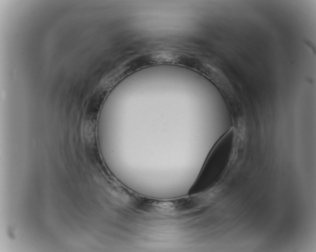 X0000099530409200805160730