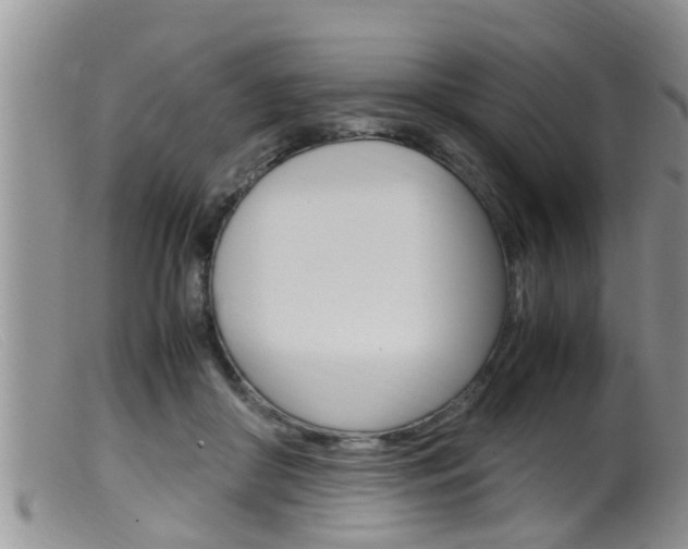 X0000099530410200805160730