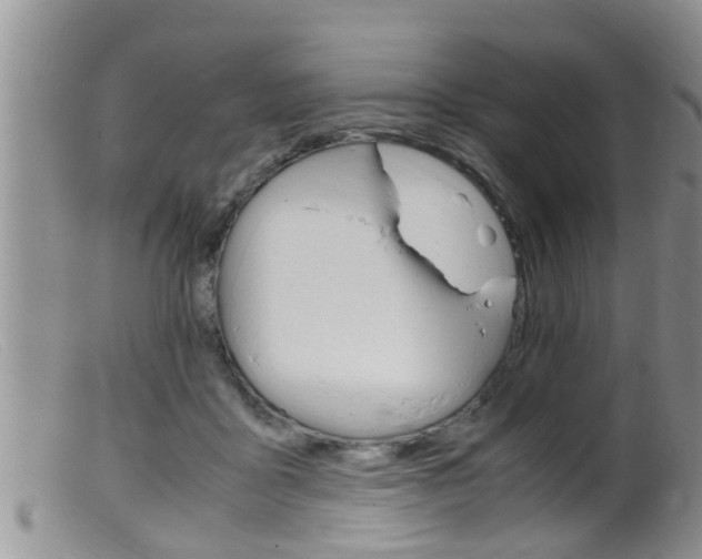 X0000099530411200805160730
