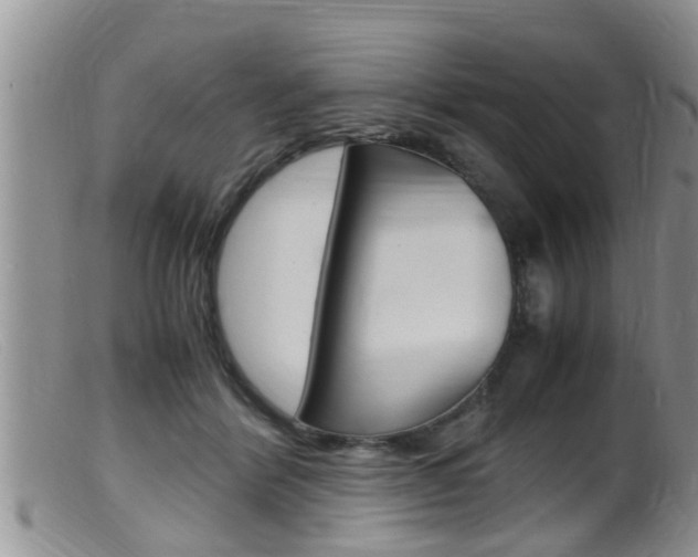 X0000099530412200805160730