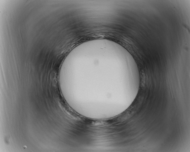 X0000099530414200805160730
