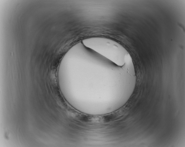 X0000099530415200805160730
