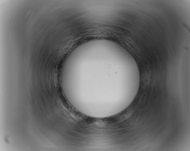 X0000099530416200805160730