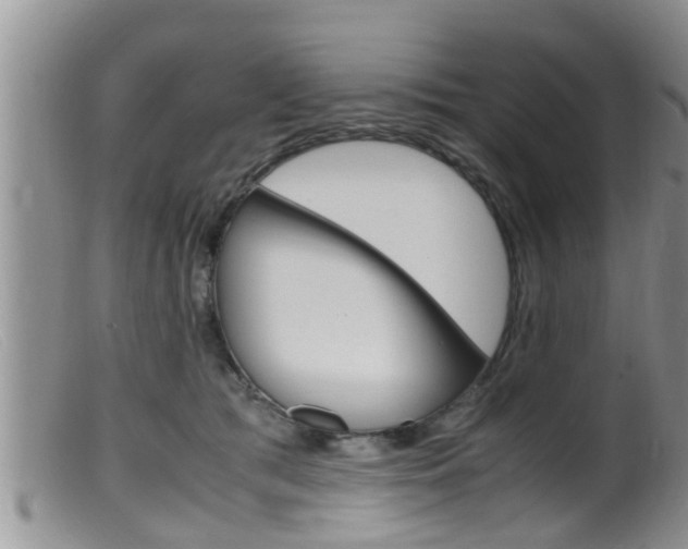 X0000099530417200805160730