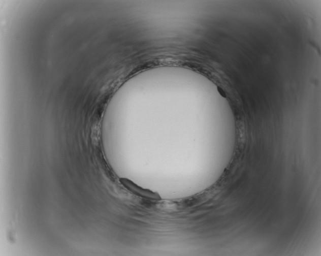 X0000099530419200805160730
