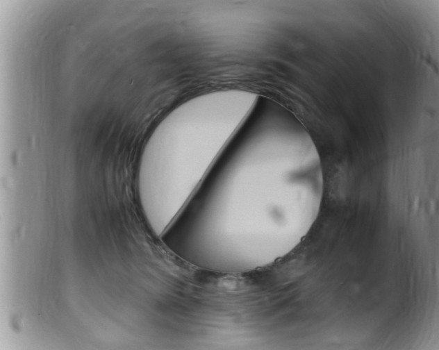 X0000099530420200805160730