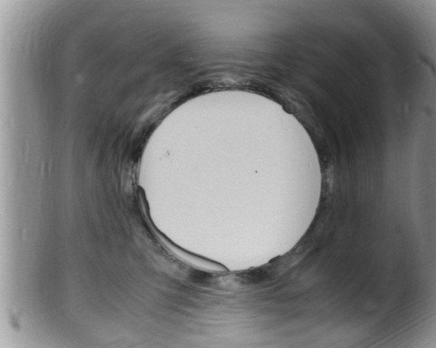 X0000099530423200805160730