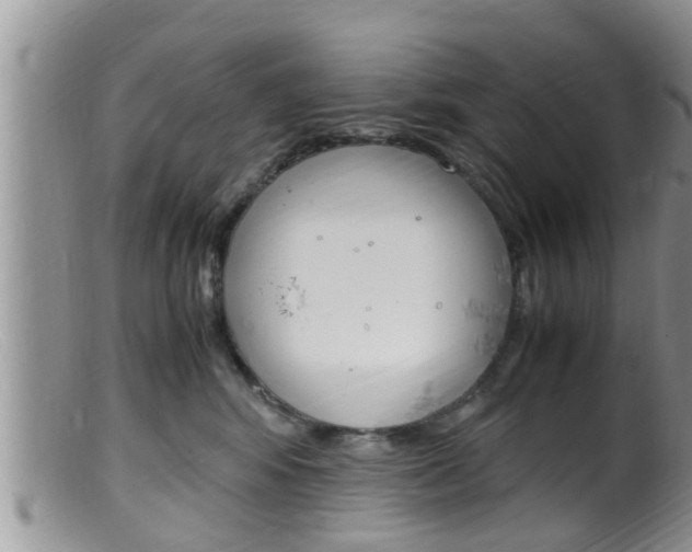 X0000099530424200805160730