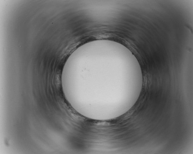X0000099530426200805160730