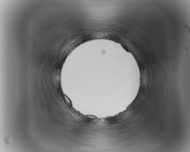 X0000099530427200805160730