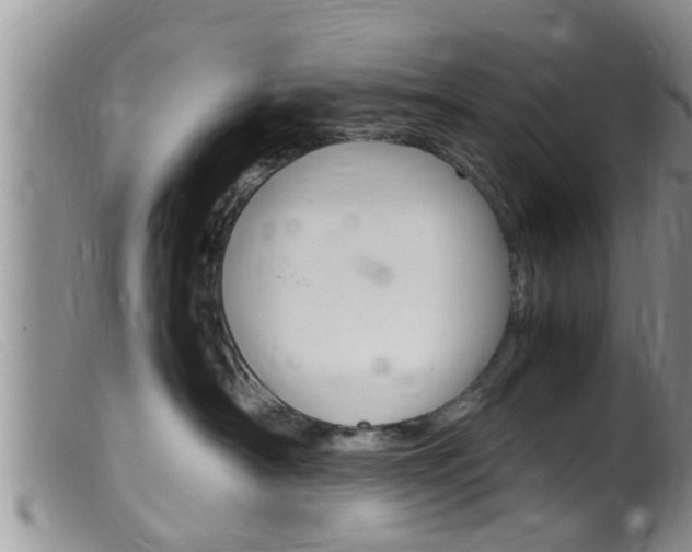 X0000099530430200805160730