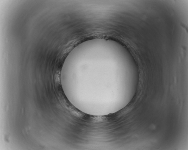 X0000099530432200805160730
