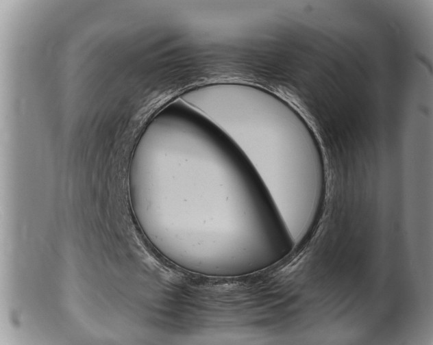 X0000099530433200805160729