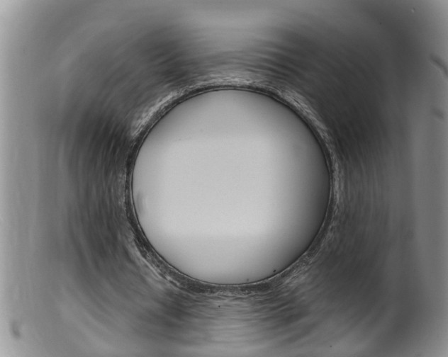 X0000099530434200805160729