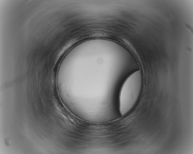 X0000099530435200805160729