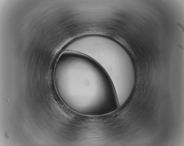 X0000099530436200805160729