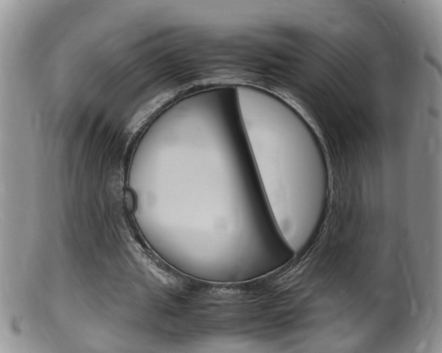 X0000099530437200805160729