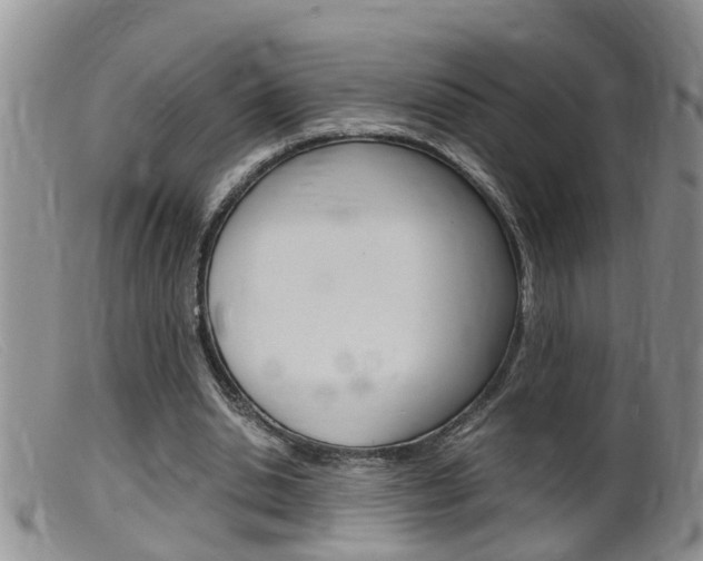 X0000099530438200805160729