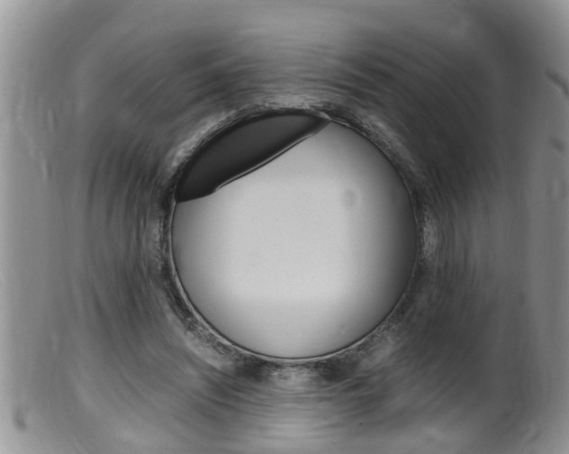 X0000099530444200805160729
