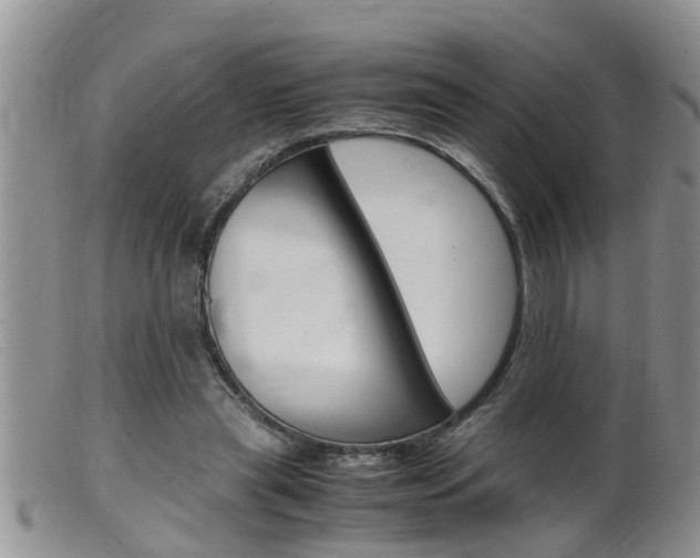 X0000099530445200805160729