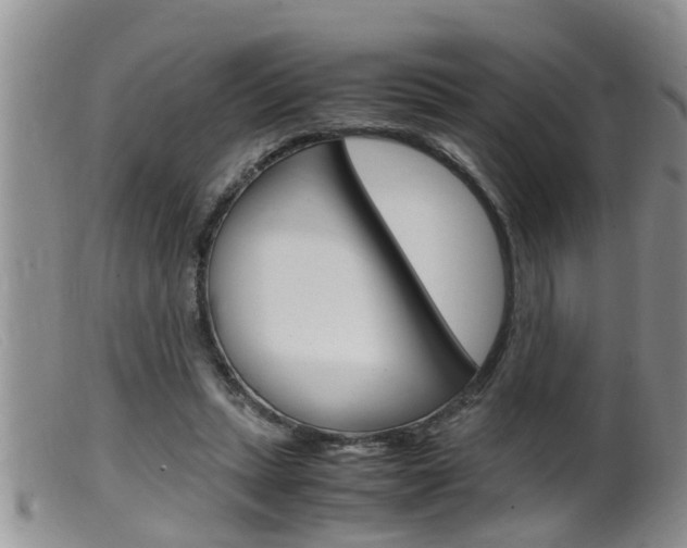 X0000099530447200805160729