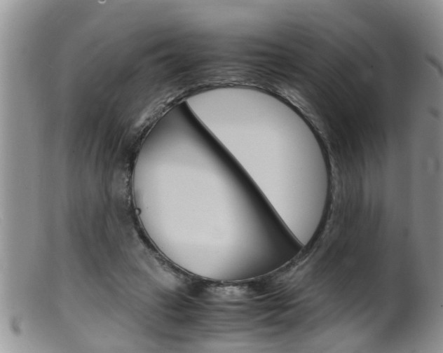 X0000099530449200805160729