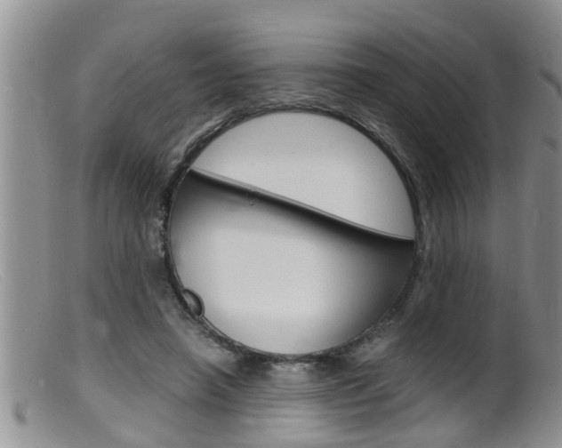 X0000099530450200805160729