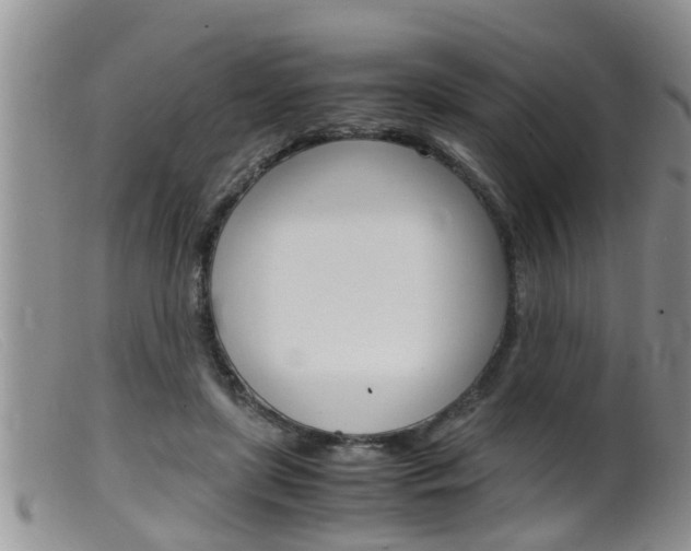 X0000099530451200805160729
