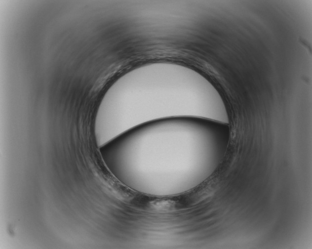 X0000099530452200805160729