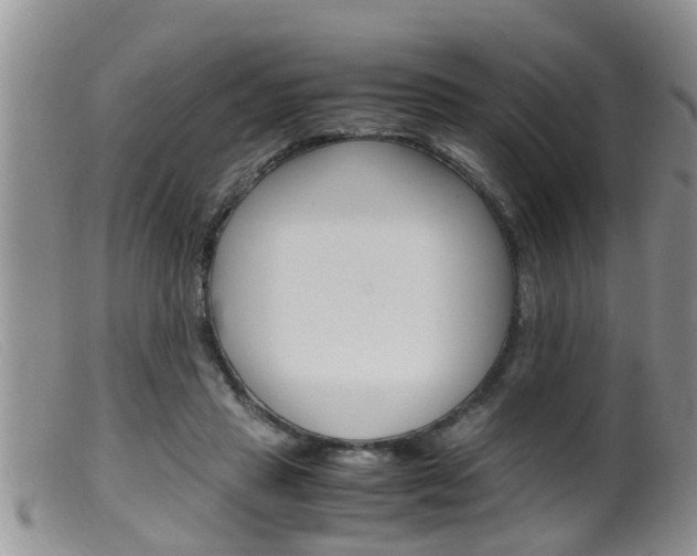 X0000099530453200805160729