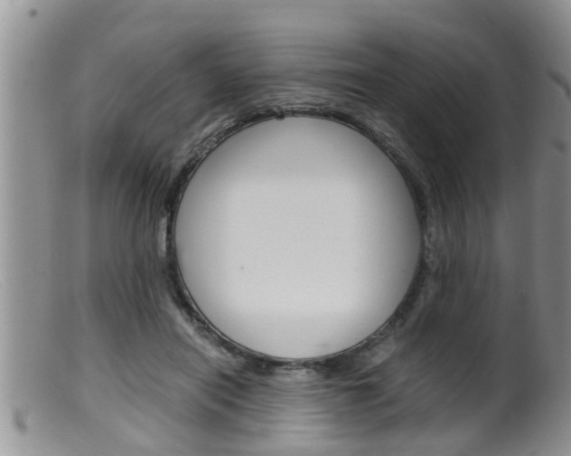 X0000099530454200805160729