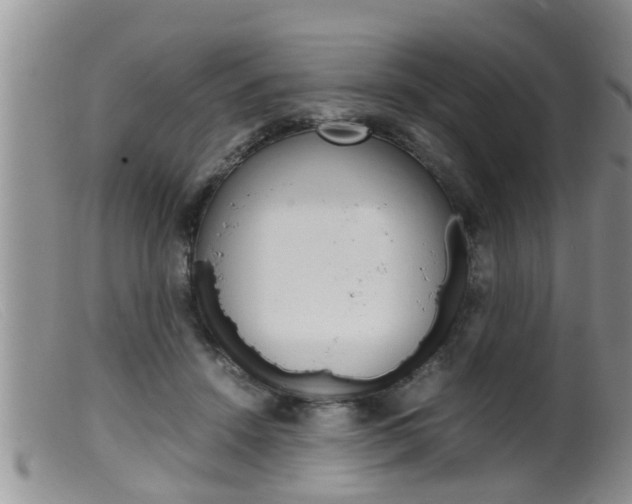 X0000099530456200805160729