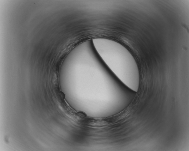 X0000099530459200805160729