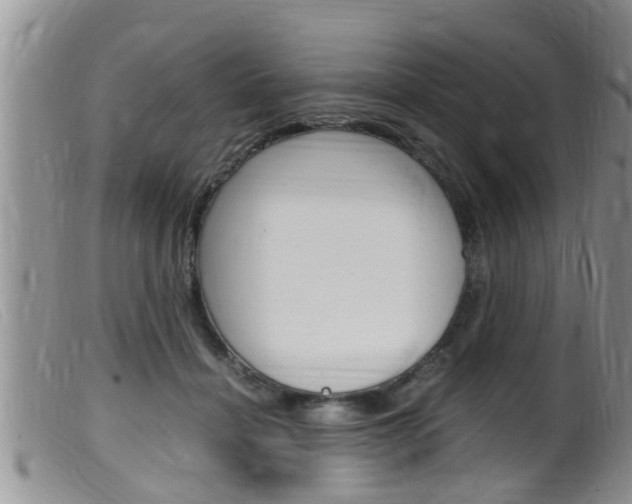 X0000099530460200805160729