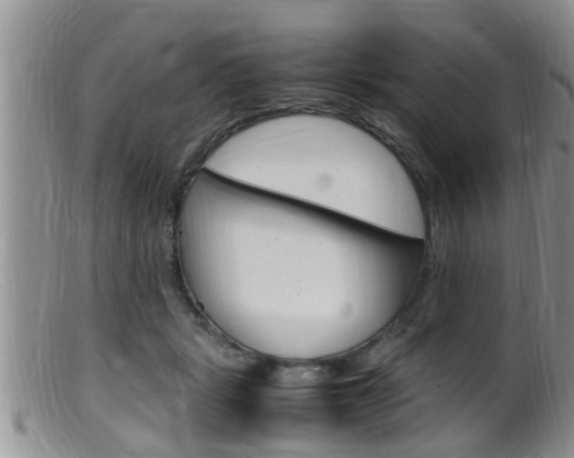 X0000099530461200805160729
