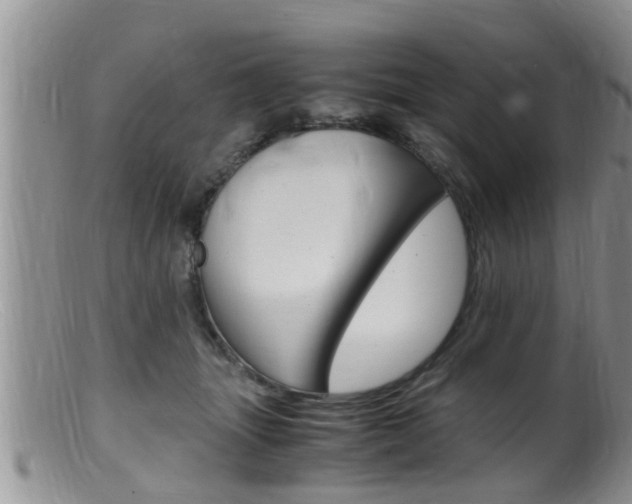 X0000099530463200805160729