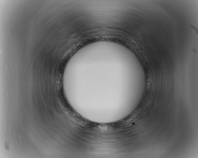 X0000099530464200805160729