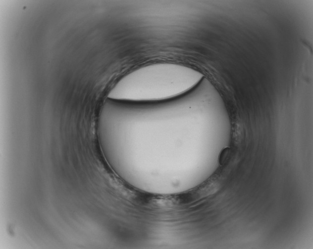 X0000099530466200805160729