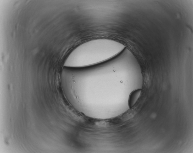 X0000099530470200805160729