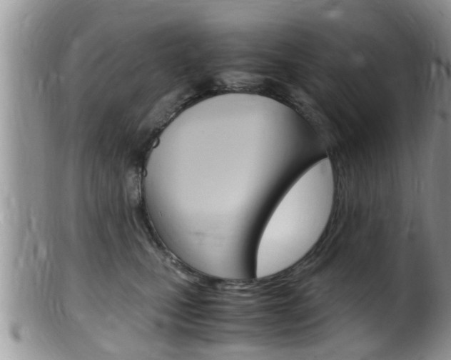X0000099530471200805160729