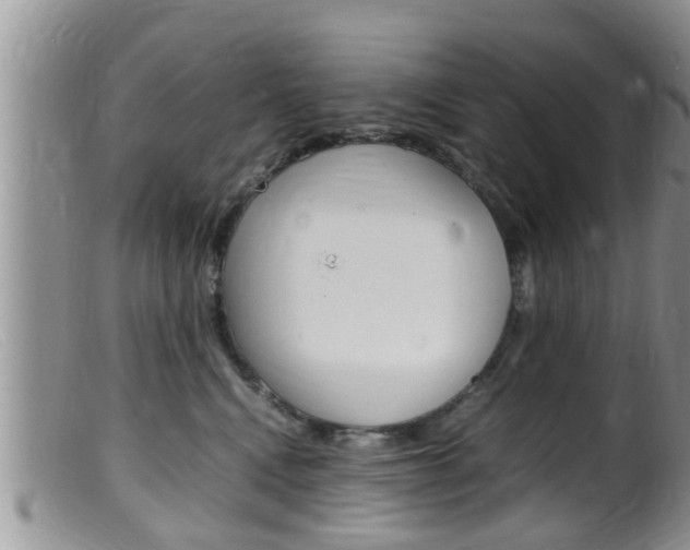 X0000099530472200805160729
