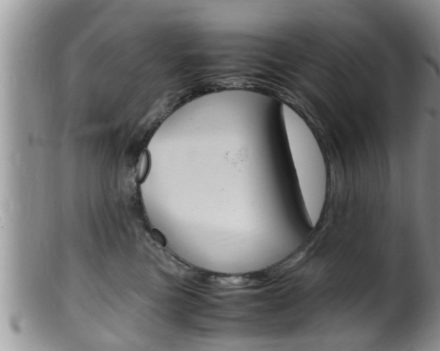 X0000099530473200805160729