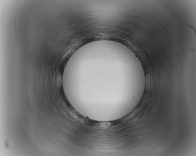 X0000099530474200805160729