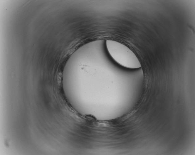X0000099530475200805160729