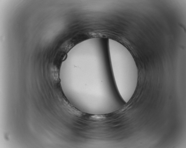 X0000099530477200805160729